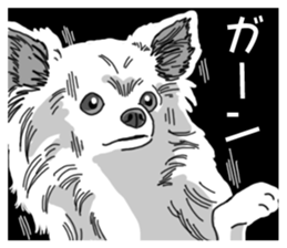 Wanko-Biyori Chihuahua sticker #12824279