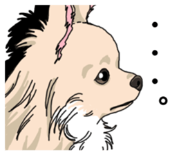 Wanko-Biyori Chihuahua sticker #12824280