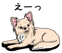 Wanko-Biyori Chihuahua sticker #12824282