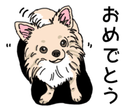 Wanko-Biyori Chihuahua sticker #12824285