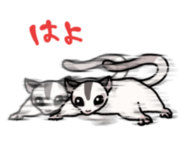 UG's Sugar Glider Stamp 2 sticker #12824326