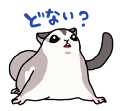UG's Sugar Glider Stamp 2 sticker #12824328