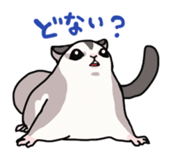 UG's Sugar Glider Stamp 2 sticker #12824328
