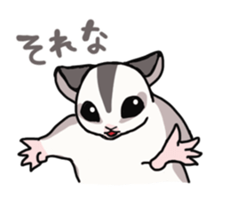 UG's Sugar Glider Stamp 2 sticker #12824329
