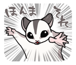 UG's Sugar Glider Stamp 2 sticker #12824330
