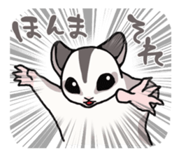 UG's Sugar Glider Stamp 2 sticker #12824330