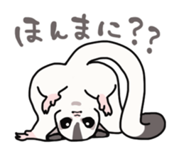 UG's Sugar Glider Stamp 2 sticker #12824331