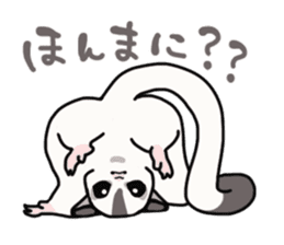 UG's Sugar Glider Stamp 2 sticker #12824331