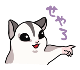 UG's Sugar Glider Stamp 2 sticker #12824332