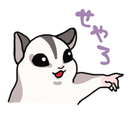 UG's Sugar Glider Stamp 2 sticker #12824332