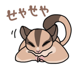 UG's Sugar Glider Stamp 2 sticker #12824335