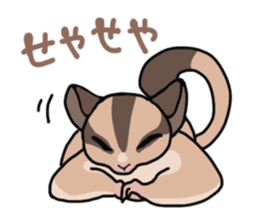 UG's Sugar Glider Stamp 2 sticker #12824335