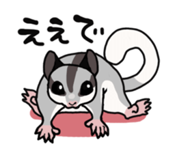 UG's Sugar Glider Stamp 2 sticker #12824337
