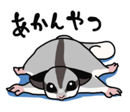 UG's Sugar Glider Stamp 2 sticker #12824338