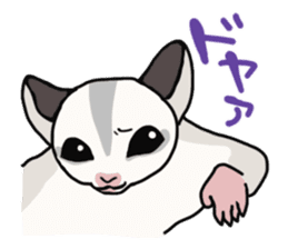 UG's Sugar Glider Stamp 2 sticker #12824341
