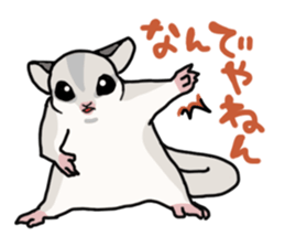 UG's Sugar Glider Stamp 2 sticker #12824342