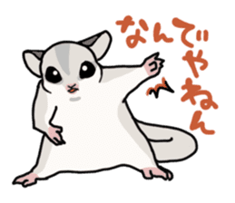 UG's Sugar Glider Stamp 2 sticker #12824342