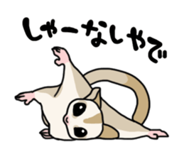 UG's Sugar Glider Stamp 2 sticker #12824345
