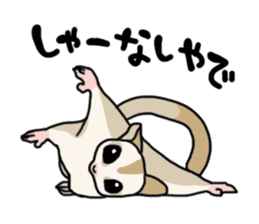 UG's Sugar Glider Stamp 2 sticker #12824345