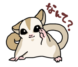UG's Sugar Glider Stamp 2 sticker #12824346
