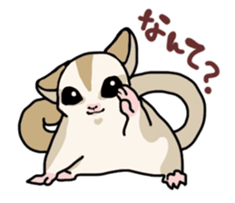 UG's Sugar Glider Stamp 2 sticker #12824346