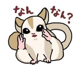 UG's Sugar Glider Stamp 2 sticker #12824348