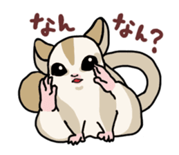 UG's Sugar Glider Stamp 2 sticker #12824348