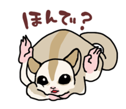 UG's Sugar Glider Stamp 2 sticker #12824349