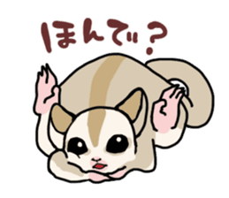 UG's Sugar Glider Stamp 2 sticker #12824349