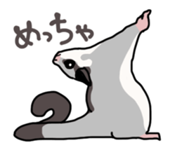 UG's Sugar Glider Stamp 2 sticker #12824350