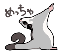 UG's Sugar Glider Stamp 2 sticker #12824350
