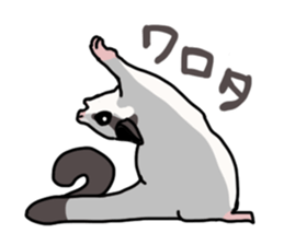 UG's Sugar Glider Stamp 2 sticker #12824351