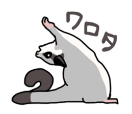 UG's Sugar Glider Stamp 2 sticker #12824351