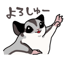 UG's Sugar Glider Stamp 2 sticker #12824356