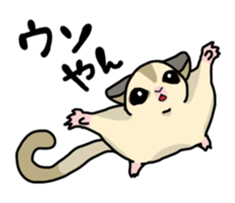 UG's Sugar Glider Stamp 2 sticker #12824358