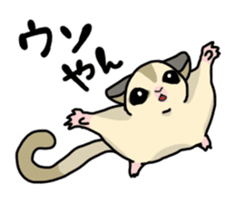 UG's Sugar Glider Stamp 2 sticker #12824358