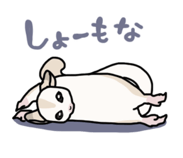 UG's Sugar Glider Stamp 2 sticker #12824363