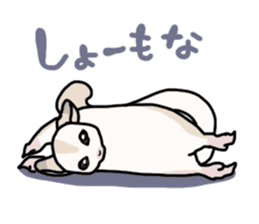 UG's Sugar Glider Stamp 2 sticker #12824363