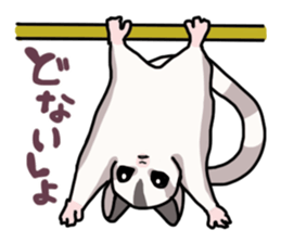 UG's Sugar Glider Stamp 2 sticker #12824364