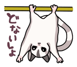 UG's Sugar Glider Stamp 2 sticker #12824364