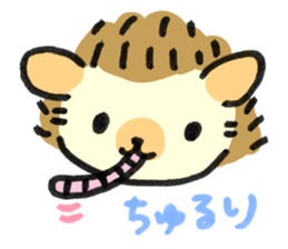 everyday hedgehog sticker #12825488