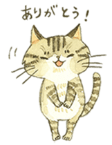 Kijitora cat Kotestu sticker #12826606