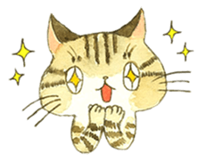 Kijitora cat Kotestu sticker #12826610