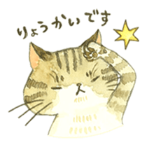 Kijitora cat Kotestu sticker #12826611