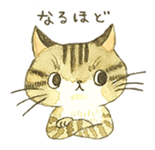 Kijitora cat Kotestu sticker #12826618