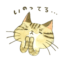 Kijitora cat Kotestu sticker #12826625