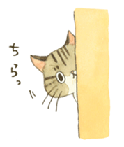 Kijitora cat Kotestu sticker #12826626