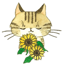 Kijitora cat Kotestu sticker #12826632