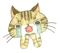 Kijitora cat Kotestu sticker #12826636