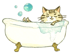 Kijitora cat Kotestu sticker #12826640